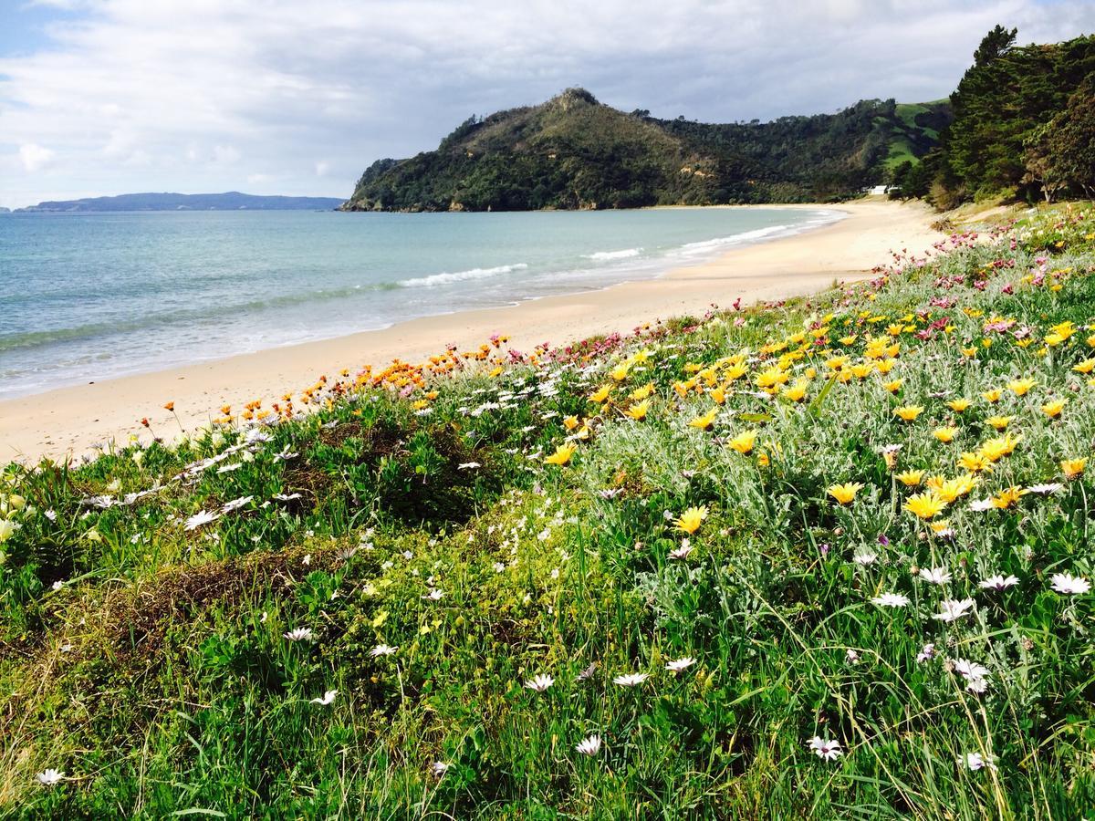 Taigh Na Mara Bed And Breakfast Whitianga Extérieur photo