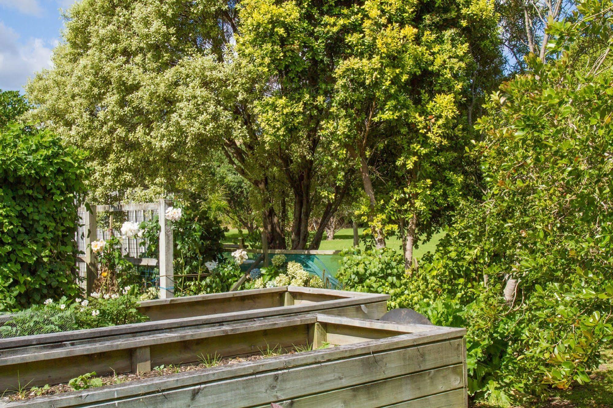 Taigh Na Mara Bed And Breakfast Whitianga Extérieur photo